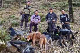 揭秘“野猪猎捕队”②｜“职业猎人”月薪过万，飞手、机油手各司其职 有团队一年投入百万元图片