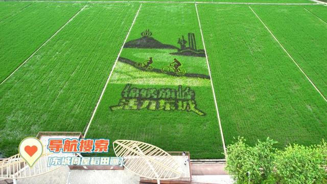 周末出发！打卡东莞市区这些「治愈系」风景