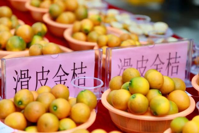 C位出道！大将镇金桔王新鲜出炉！