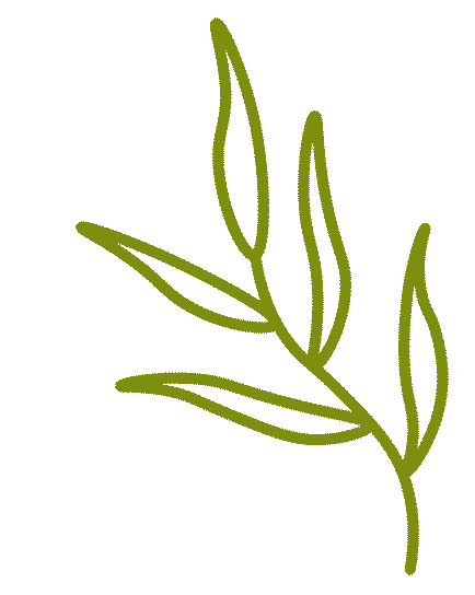 “深呼吸”再行动：大湾区旅行商呼和浩特文旅踩线