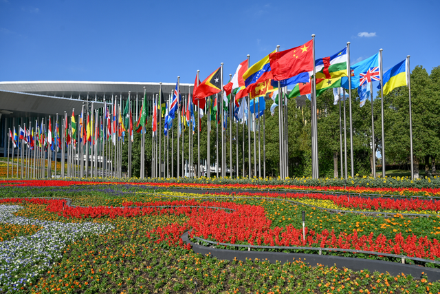 进博直击｜四叶草全面“定妆”，静待第八届进博会开幕