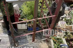 居民楼顶建菜园，街道依法拆除图片