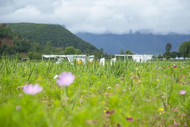 【冬季暖阳 凉山不凉】最全美食美景旅行攻略出炉！第一次来泸沽湖旅游必看！