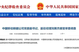 中纪委官网刚刚通报，刘英杰接受审查调查图片