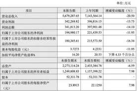 风口财报｜营收净利双降、加盟店缩减，高金价为何带不动老凤祥？图片