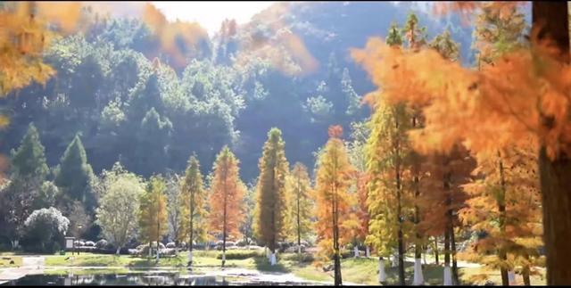 现在的黔南，已经美成这样了→