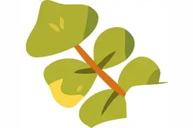 【学府动态】家园携手五部曲，共谱幼儿成长歌——学府新城幼儿园“五步教学法”家长课程图片