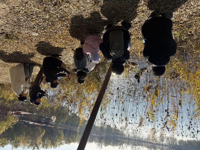 小雪宜出游，颐和园里游人赏初冬美景