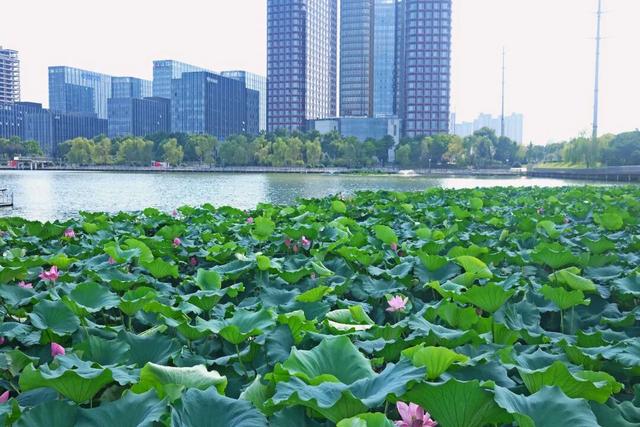 87条，幸福河湖