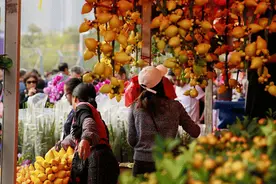 时间延长、规模扩大！2024年广州迎春花市官宣！图片