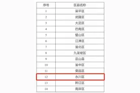 永川被纳入全市低空装备产业发展试点区县名单！图片