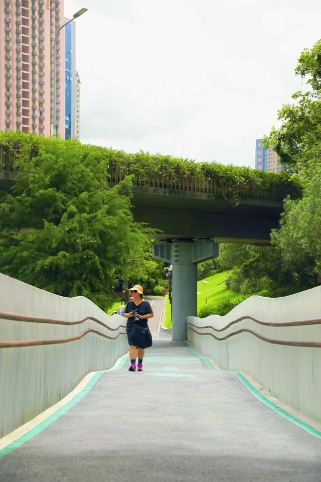 双园秘境在此！赴一场初秋的诗意漫游