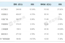 四小发电上市公司业绩分化，新能源发电利润率普遍下滑图片