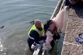 断桥边，他几秒飞身跳下救人……刚刚西湖断桥边发生感人一幕图片