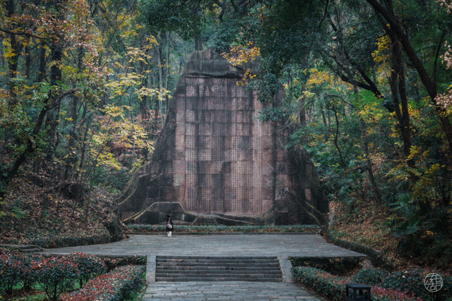 东湖「巨物」图鉴，打卡XXXXL号视觉震撼！