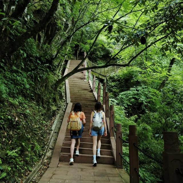 【直播倒计时1天】！你对夏日的所有幻想都在瓦屋山！