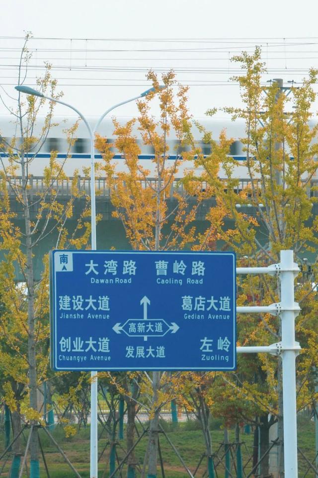 葛店这条“黄金大道”再不看就晚了！