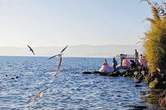 看日出、追红嘴鸥、拍婚纱……总要去一次大理龙龛码头吧！