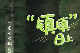 “镇镇”日上③|冲击4A级景区，广汉连山用“一朵桃花”打开无穷想象图片