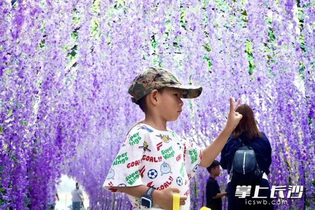 组图｜紫色花廊上线，石燕湖打造假日游玩新体验