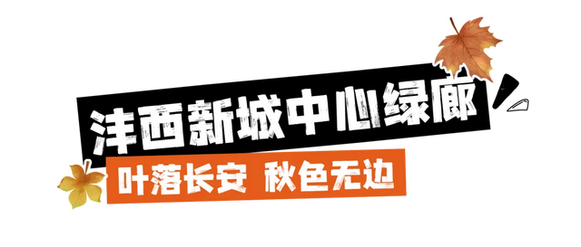 走进西安4大免费开放的宝藏公园