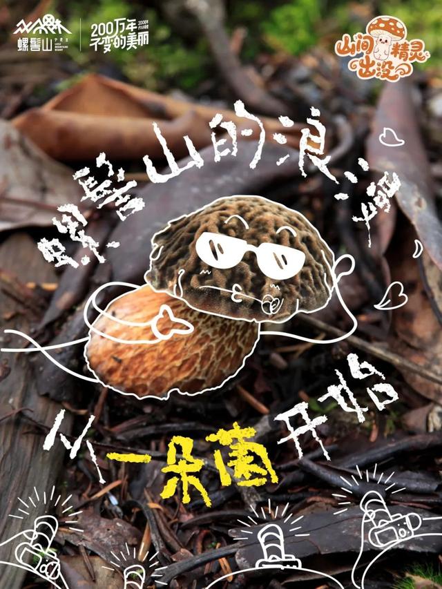 游玩攻略 | 山间精灵出没！快来螺髻山开盲盒