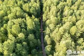 限时“抹茶绿”回归 青山湖水上森林公园开启“绿野仙踪”模式图片