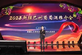 欢饮巴州 ‘萄’醉今宵 2023新疆巴州葡萄酒推介会圆满落幕图片
