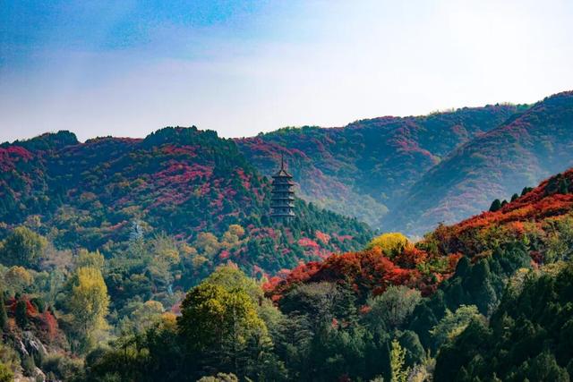 从云端到山野，济南这两地入选省级案例！你打卡过吗？