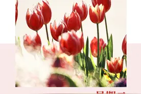 作家日签 | 李瑾：那时风声青春年少图片