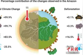 亚马孙雨林为何旱季降雨减少？最新研究称近75%归因于森林砍伐图片