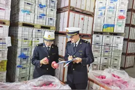 “批次检验(检疫)”模式助力企业出口直通海外  蓬莱海关按下通关“快进键”图片