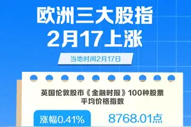 （图表）欧洲三大股指2月17日上涨图片