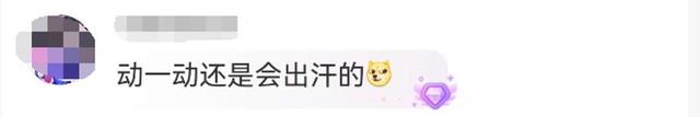 上海人请做好“一夜入秋”的准备