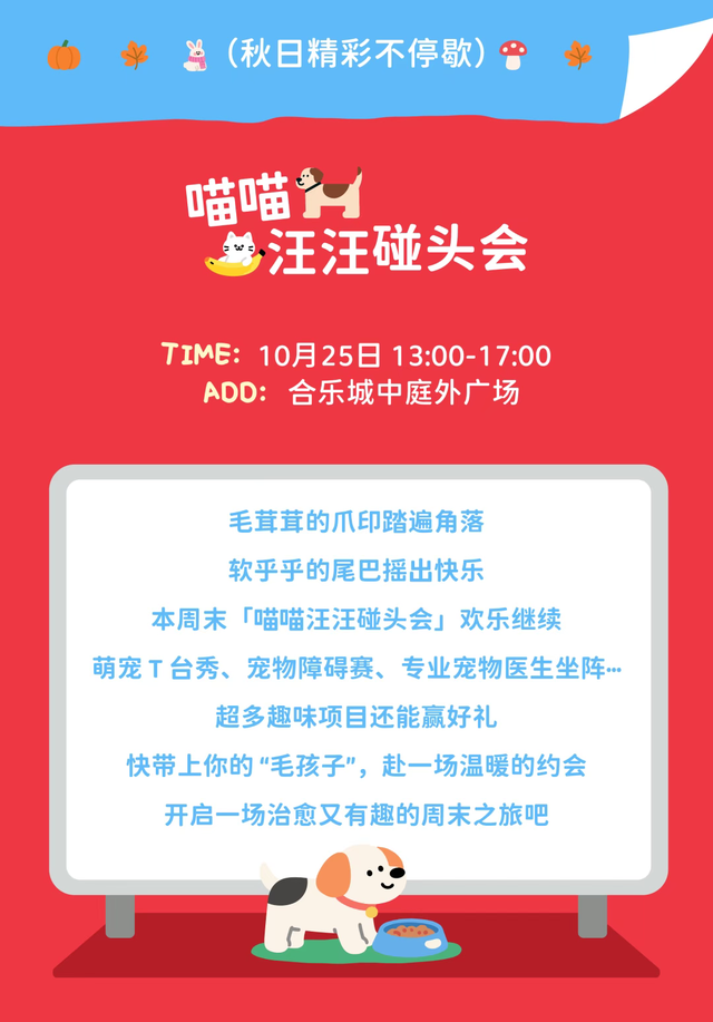 约起来~金秋的南湖，太好玩了！