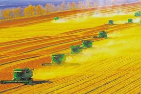 【牢记总书记的嘱托·企业调研记】北大荒，了不起图片