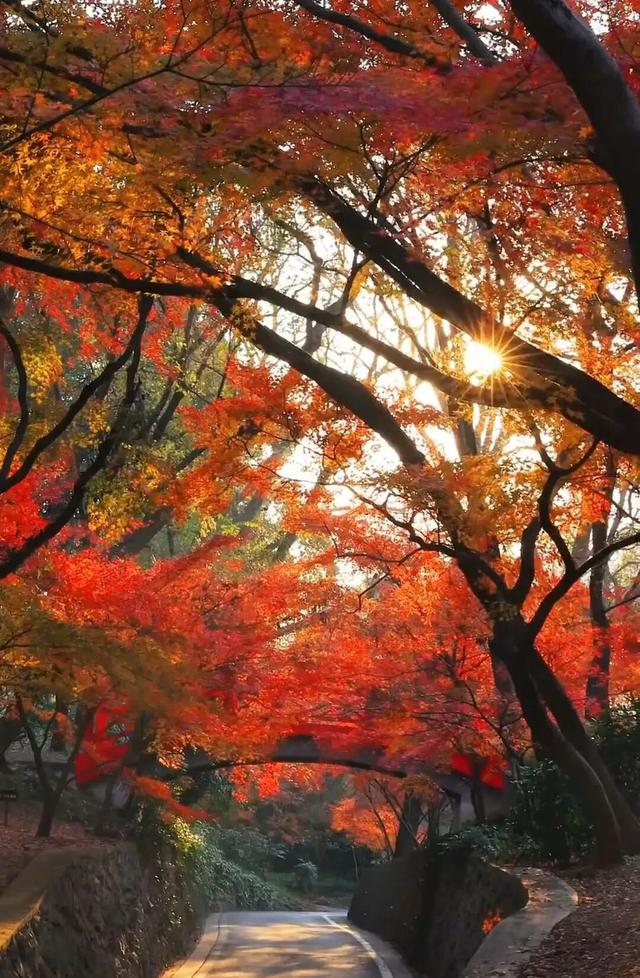 报！已达颜值巅峰！