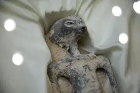 墨西哥记者展示“外星人干尸”被质疑，媒体挖出他曾用儿童干尸造假图片