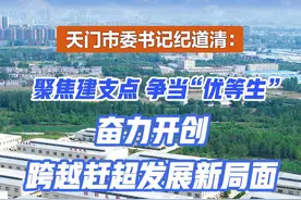 天门市委书记纪道清：聚焦建支点 争当“优等生”奋力开创跨越赶超发展新局面图片