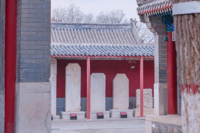 暑假去哪嗨？来呼和浩特解锁旅行新体验！