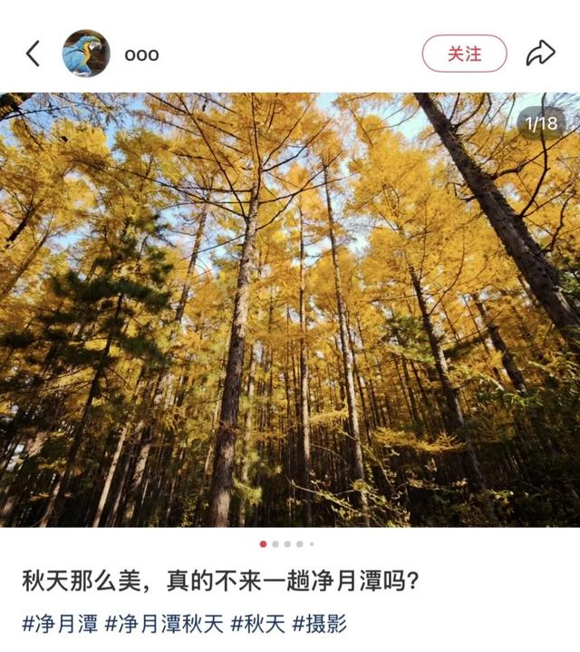 十一月 你好！十一月 期待！