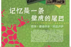 阿瓜卢萨：虚假的记忆必然坠落图片