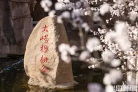 樱桃花谷，春色绽放图片