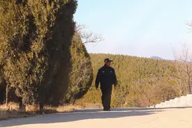 他，36年守护一片山林 亲眼见证小树苗长成参天树图片