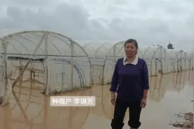 ​开屏跑腿 | 一夜暴雨，玉溪近300亩蔬菜基地被淹，记者走访……图片