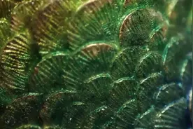 回望500年奢华时尚！长沙博物馆这场展览为你织就“繁星绮梦”图片