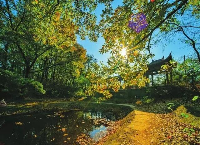 溪如画，影成诗……被舜耕山的初冬美景治愈了！