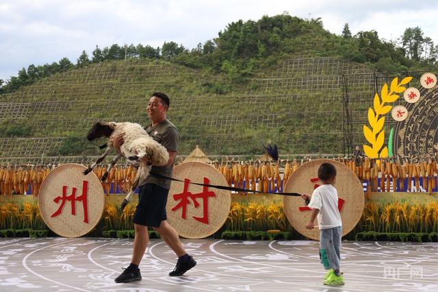 驰骋水乡  共庆丰年！贵州三都村马第三届端节旅游季启幕