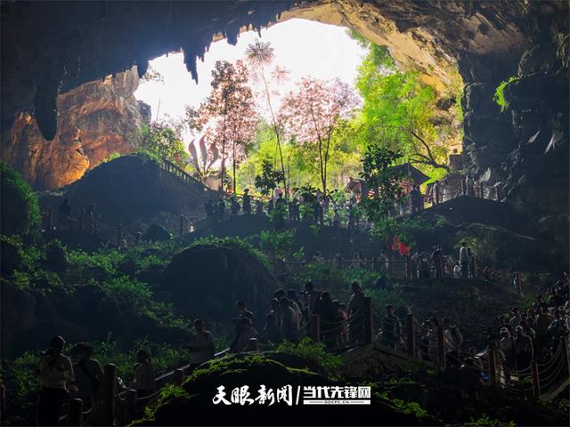 日均接待超20000人次 织金洞迎来避暑游高峰