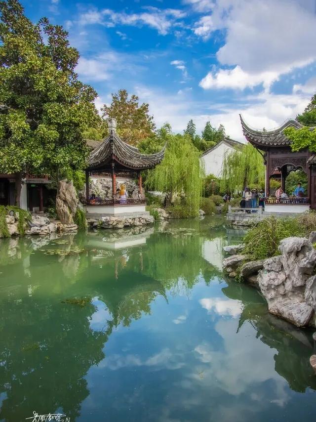 萌度“爆表”！洪堡企鹅最爱的瞻园秋景都在这里→